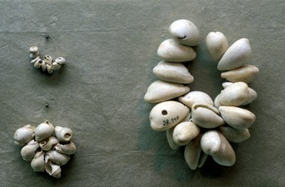 Cowrie kagylófüzérek alkotó: Unbekannt