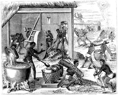 Cukorgyártás, 1873 alkotó: Unbekannt