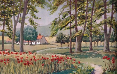 Nyár – A Nap által kiváltott fizikai, kémiai és biológiai változások az év során, 1935 alkotó: Unbekannt
