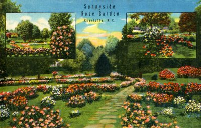 Sunnyside Rose Garden, Charlotte, N.C., 1942. alkotó: Unbekannt