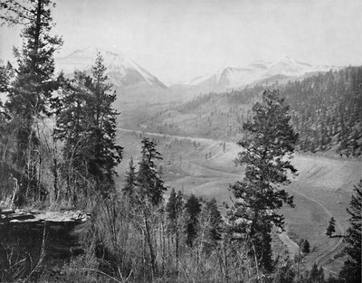 Sunshine Park és Wilson, 1897. alkotó: Unbekannt