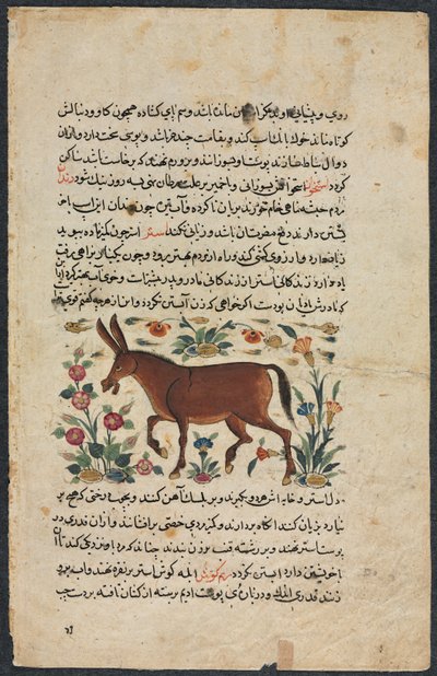 Szövegoldal, Perzsa Próza Recto, Khar Ass Verso, 1400-as évek. alkotó: Unbekannt