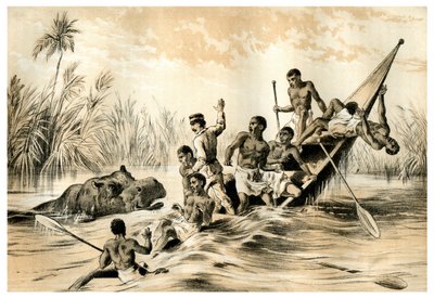 A kaland vízilóval, 1883 alkotó: Unbekannt