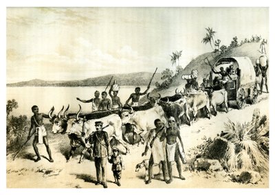 Érkezés a Ngami-tóhoz, 1883 alkotó: Unbekannt