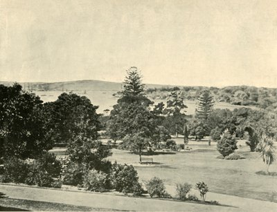 Sydney botanikus kertje, 1901. alkotó: Unbekannt