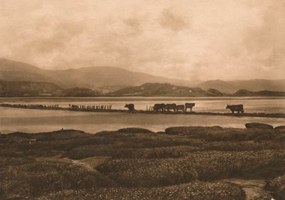 The Dovey at Ynyslas, 1902 alkotó: Unbekannt
