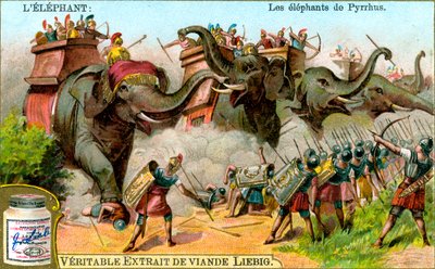 Pyrrhusi elefántok, 1900 körül alkotó: Unbekannt