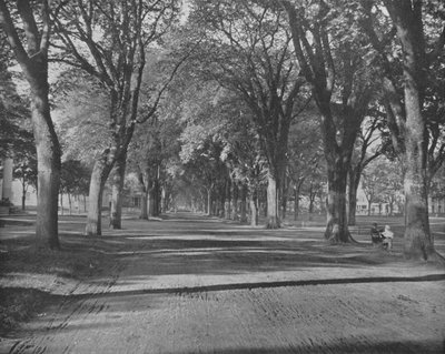 The Elms, New Haven, Connecticut, USA, 1900. alkotó: Unbekannt