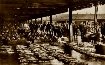 A halpiac, Aberdeen, 19. század vége – 20. század eleje. alkotó: Unbekannt