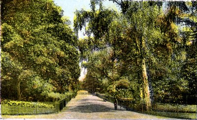 The Flower Walk, Kensington Gardens, London, XX. század alkotó: Unbekannt
