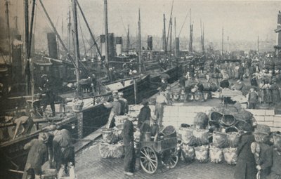 A heringszezon javában, 1937 alkotó: Unbekannt