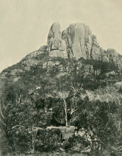 The Hump, Buffalo Mountains, 1901. alkotó: Unbekannt