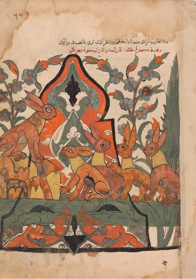 A nyulak királya tanácskozásban alattvalóival, Folio Kalila wa Dimnából, 18. század. alkotó: Unbekannt