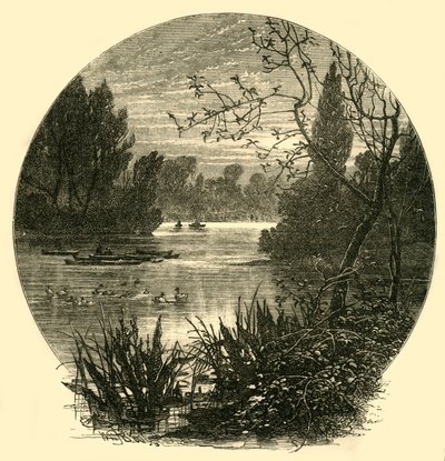 A tó, Battersea Park, 1878. alkotó: Unbekannt
