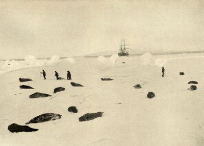 A Nimród a Pram Pointban 1909. március 4-én alkotó: Unbekannt