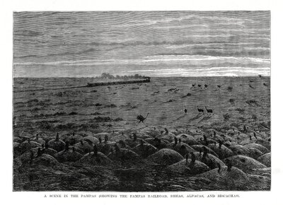 Pampas vasút, dél-amerikai alföld, 1877 alkotó: Unbekannt
