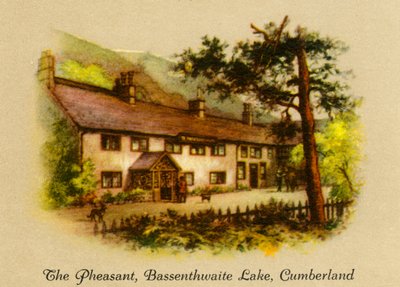A fácán, Bassenthwaite Lake, Cumberland, 1936. alkotó: Unbekannt