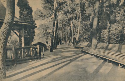 A fenyőséta, 1929 alkotó: Unbekannt
