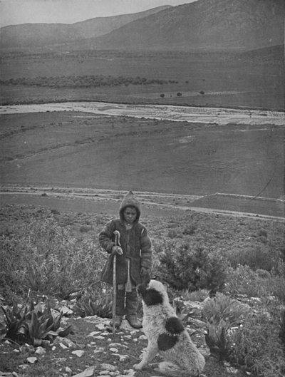 Maratoni síkság, 1913 alkotó: Unbekannt