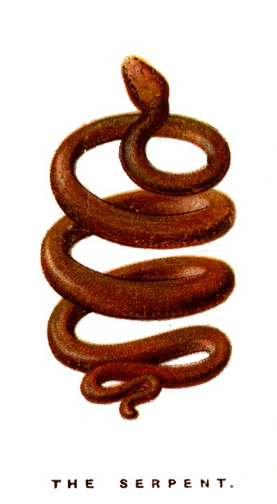 A kígyó, 1923 alkotó: Unbekannt