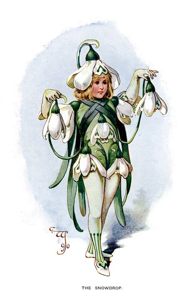 A hóvirág, 1899 alkotó: Unbekannt