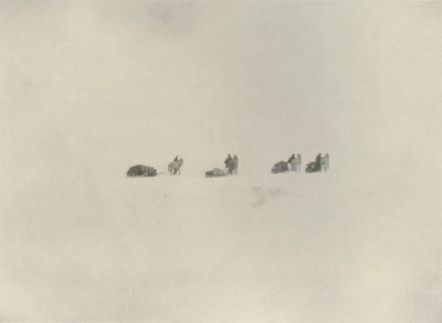 A déli párt menetel a fehér ismeretlenbe, 1908, 1909. alkotó: Unbekannt
