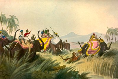 A tigrisvadászat, c1808, 1901. alkotó: Unbekannt