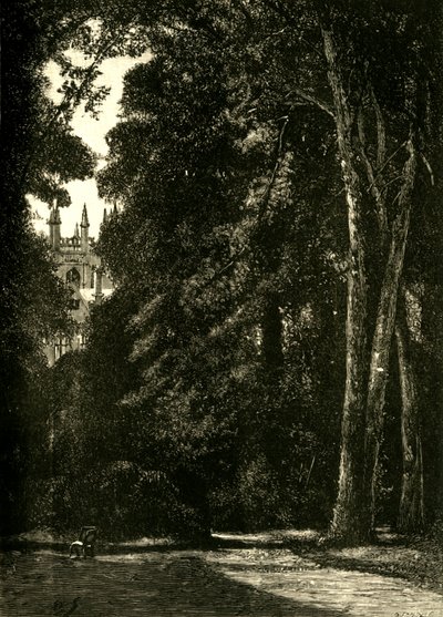 Merton tornya, a kertből, 1898. alkotó: Unbekannt
