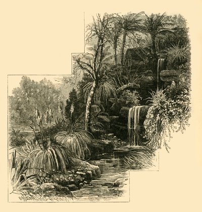 The Tropical Gardens, Battersea Park, 1878. alkotó: Unbekannt