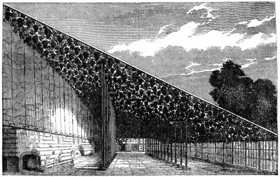 A Hampton Court-i borászat, 19. század alkotó: Unbekannt