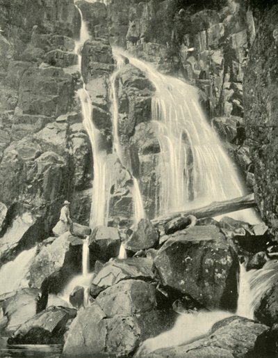 Wellington Falls, Mount Wellington, 1901. alkotó: Unbekannt