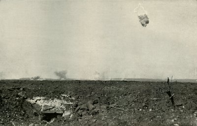 A gyapjas medve, 1919. alkotó: Unbekannt