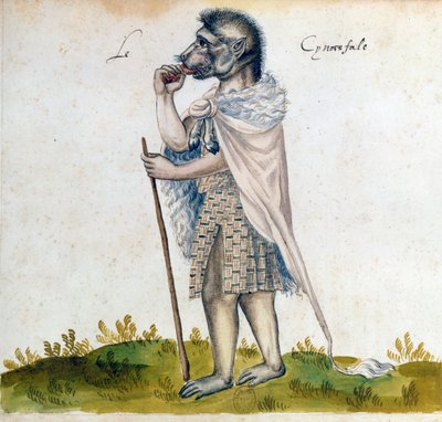 A cynocephalus, 15. század alkotó: Unbekannt