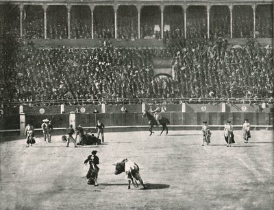 A bikaviadal-aréna belseje, Madrid, Spanyolország, 1895. alkotó: Unbekannt