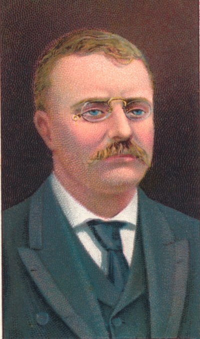 Theodore Roosevelt 1858-1919, az Egyesült Államok 26. elnöke, 1906 alkotó: Unbekannt