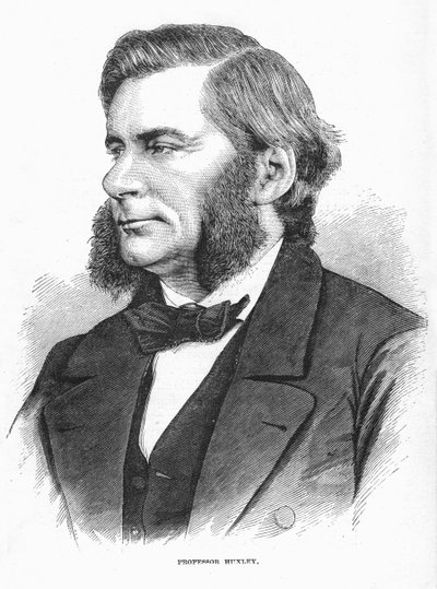 Thomas Henry Huxley brit biológus, 1860-as évek alkotó: Unbekannt