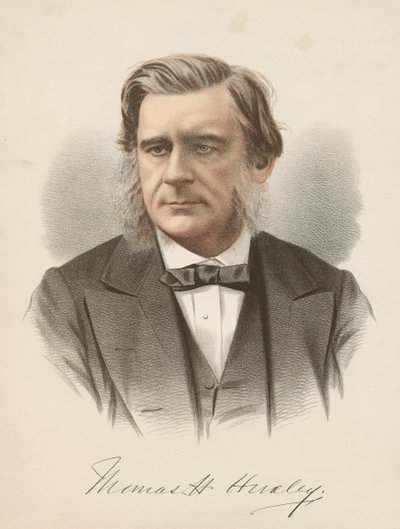 Thomas Henry Huxley angol biológus, 1880 alkotó: Unbekannt