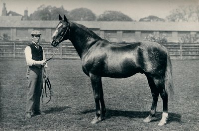 Telivér versenyló, Bend Or, c1880 alkotó: Unbekannt