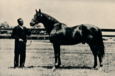 Telivér versenyló, Man O War, 1920 alkotó: Unbekannt