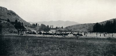 Kukoricacséplés ősi módon, 1911 alkotó: Unbekannt