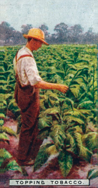 Topping Dohány, 1926 alkotó: Unbekannt