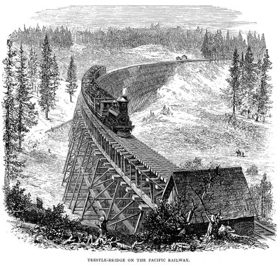 Trestle Bridge a Union Pacific Railroad-on, USA, 1876 alkotó: Unbekannt