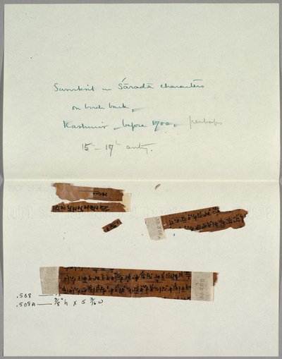 Két kéregtöredék szanszkrit nyelven, 1700 előtt. alkotó: Unbekannt