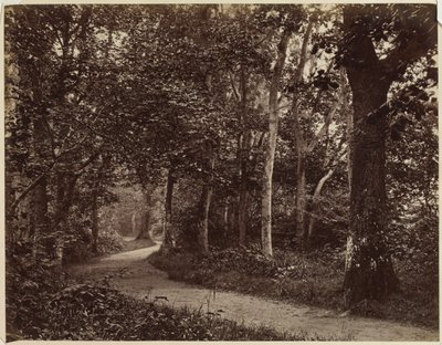 Tájkép cím nélkül, 1860-as évek eleje. alkotó: Unbekannt