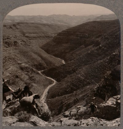 Az Arno völgye, pásztor és juhok az előtérben, 1900 alkotó: Unbekannt