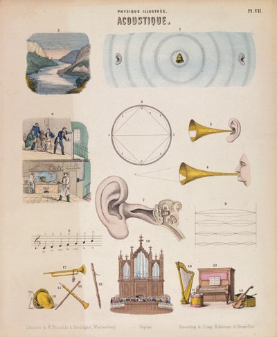 Különféle hangszerek és hangok, Württemberg, 1850 alkotó: Unbekannt