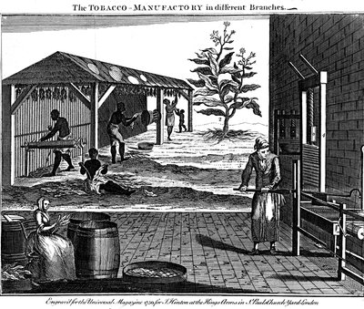 A dohánygyártás különböző szakaszai, Virginia, USA, 1750 alkotó: Unbekannt