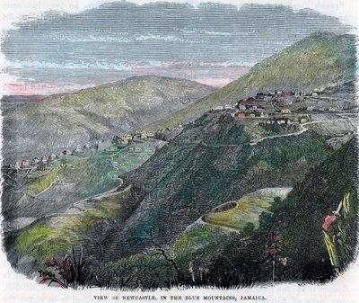 Kilátás Newcastle-re, a Kék-hegységben, Jamaica, 1880 alkotó: Unbekannt