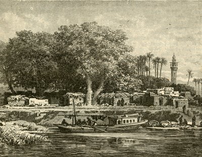 Kilátás a Nílus deltájára, 1890. alkotó: Unbekannt