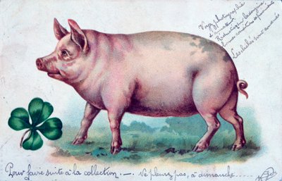 Vintage francia képeslap, c1900 alkotó: Unbekannt